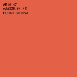 #E46147 - Burnt Sienna Color Image