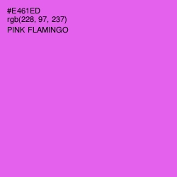 #E461ED - Pink Flamingo Color Image