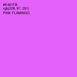 #E461FB - Pink Flamingo Color Image