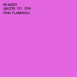 #E465E0 - Pink Flamingo Color Image