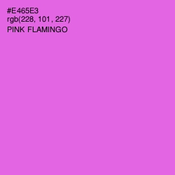 #E465E3 - Pink Flamingo Color Image