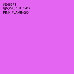 #E465F1 - Pink Flamingo Color Image