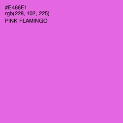 #E466E1 - Pink Flamingo Color Image