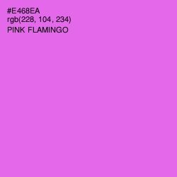 #E468EA - Pink Flamingo Color Image