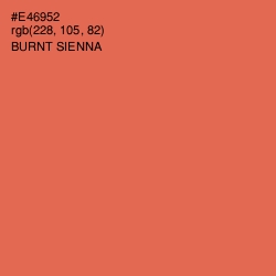 #E46952 - Burnt Sienna Color Image