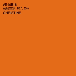 #E46B18 - Christine Color Image