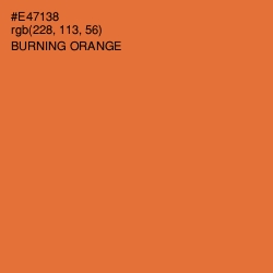 #E47138 - Burning Orange Color Image