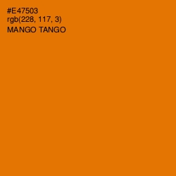 #E47503 - Mango Tango Color Image