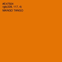 #E47504 - Mango Tango Color Image