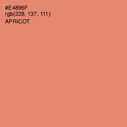 #E4896F - Apricot Color Image