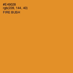 #E49028 - Fire Bush Color Image