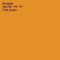 #E49029 - Fire Bush Color Image