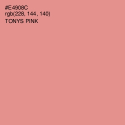 #E4908C - Tonys Pink Color Image