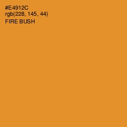 #E4912C - Fire Bush Color Image