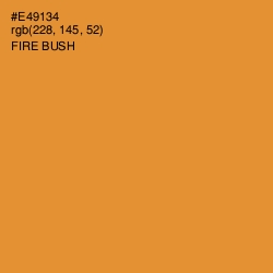 #E49134 - Fire Bush Color Image