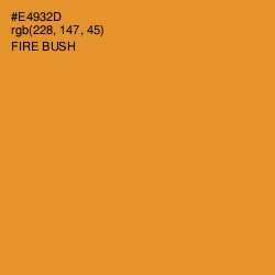 #E4932D - Fire Bush Color Image