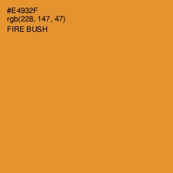 #E4932F - Fire Bush Color Image