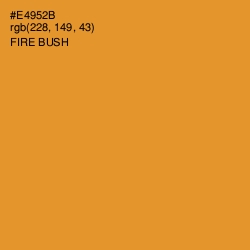 #E4952B - Fire Bush Color Image