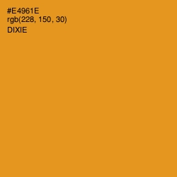 #E4961E - Dixie Color Image