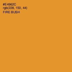 #E4962C - Fire Bush Color Image