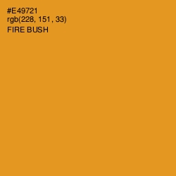 #E49721 - Fire Bush Color Image