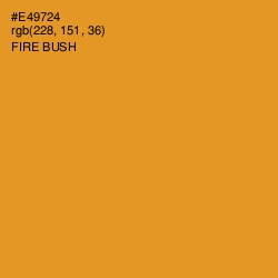 #E49724 - Fire Bush Color Image