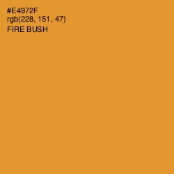 #E4972F - Fire Bush Color Image