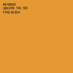 #E49932 - Fire Bush Color Image