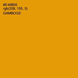 #E49B05 - Gamboge Color Image