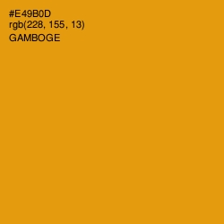 #E49B0D - Gamboge Color Image