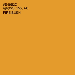 #E49B2C - Fire Bush Color Image