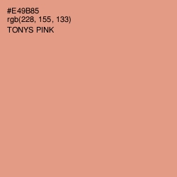 #E49B85 - Tonys Pink Color Image