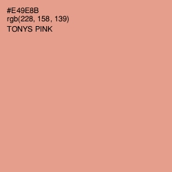 #E49E8B - Tonys Pink Color Image