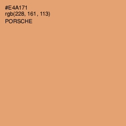 #E4A171 - Porsche Color Image