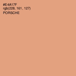 #E4A17F - Porsche Color Image