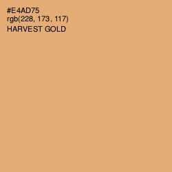 #E4AD75 - Harvest Gold Color Image