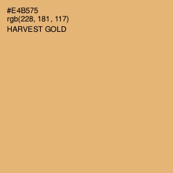 #E4B575 - Harvest Gold Color Image