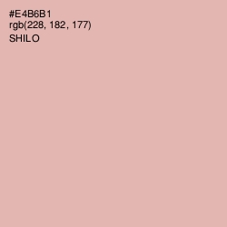 #E4B6B1 - Shilo Color Image