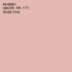 #E4B9B1 - Rose Fog Color Image