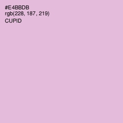 #E4BBDB - Cupid Color Image