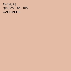 #E4BCA6 - Cashmere Color Image