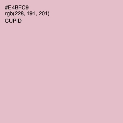 #E4BFC9 - Cupid Color Image