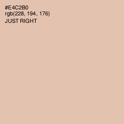 #E4C2B0 - Just Right Color Image
