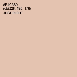 #E4C3B0 - Just Right Color Image