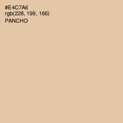 #E4C7A6 - Pancho Color Image