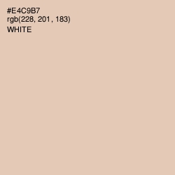 #E4C9B7 - Just Right Color Image