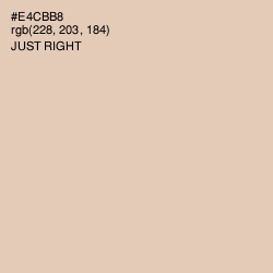 #E4CBB8 - Just Right Color Image