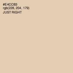 #E4CCB3 - Just Right Color Image