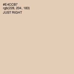 #E4CCB7 - Just Right Color Image