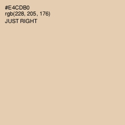 #E4CDB0 - Just Right Color Image